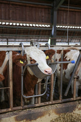 Kerbl Artikel 2164 im Online Shop kaufen