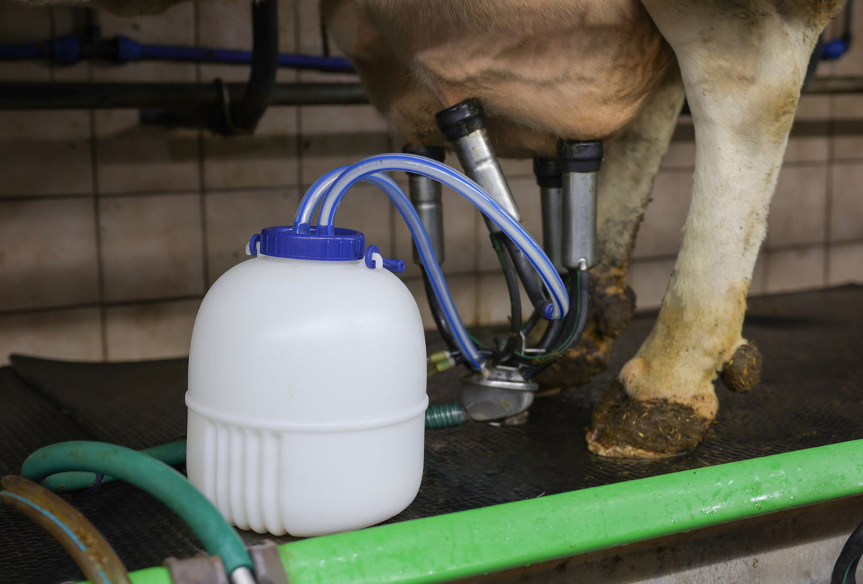 Kerbl Artikel 15903 im Online Shop kaufen