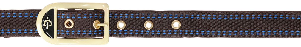 Kerbl Pferdehalfter Royal braun/hellblau, Foal - 3228183