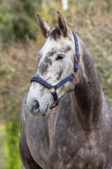 Kerbl Pferdehalfter Royal blau/karamell, Foal - 3228177