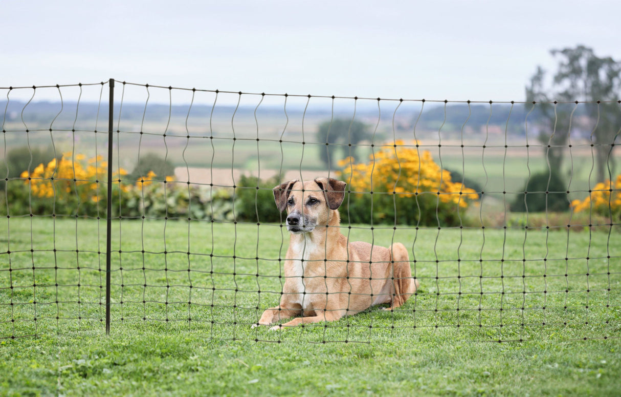 Kerbl CampingNet, grün, inkl. Tasche 80cm, DS, 20m - 292227