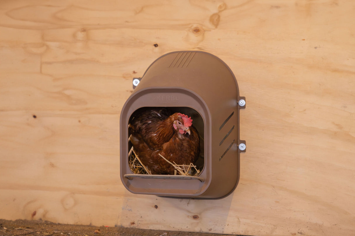 Kerbl Legenest für Hühner - 73163