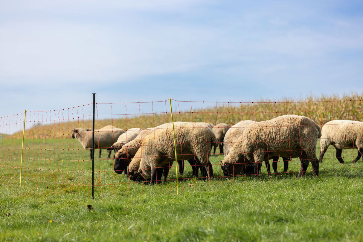 Kerbl Unterstützungspfahl für Weide- netze, 145cm, Ø14mm,verzinkt 1 Stück 27350