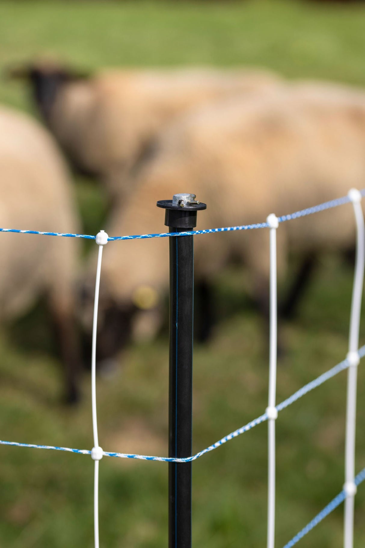 Kerbl Unterstützungspfahl für Weide- netze, 145cm, Ø14mm,verzinkt 1 Stück 27350