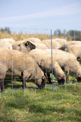 Kerbl WolfStop - Ergänzungsset für Weidenetze, 10er Set - 27256