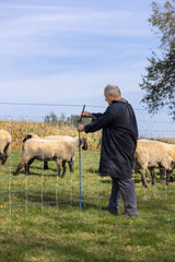 Kerbl WolfStop - Ergänzungsset für Weidenetze, 10er Set - 27256