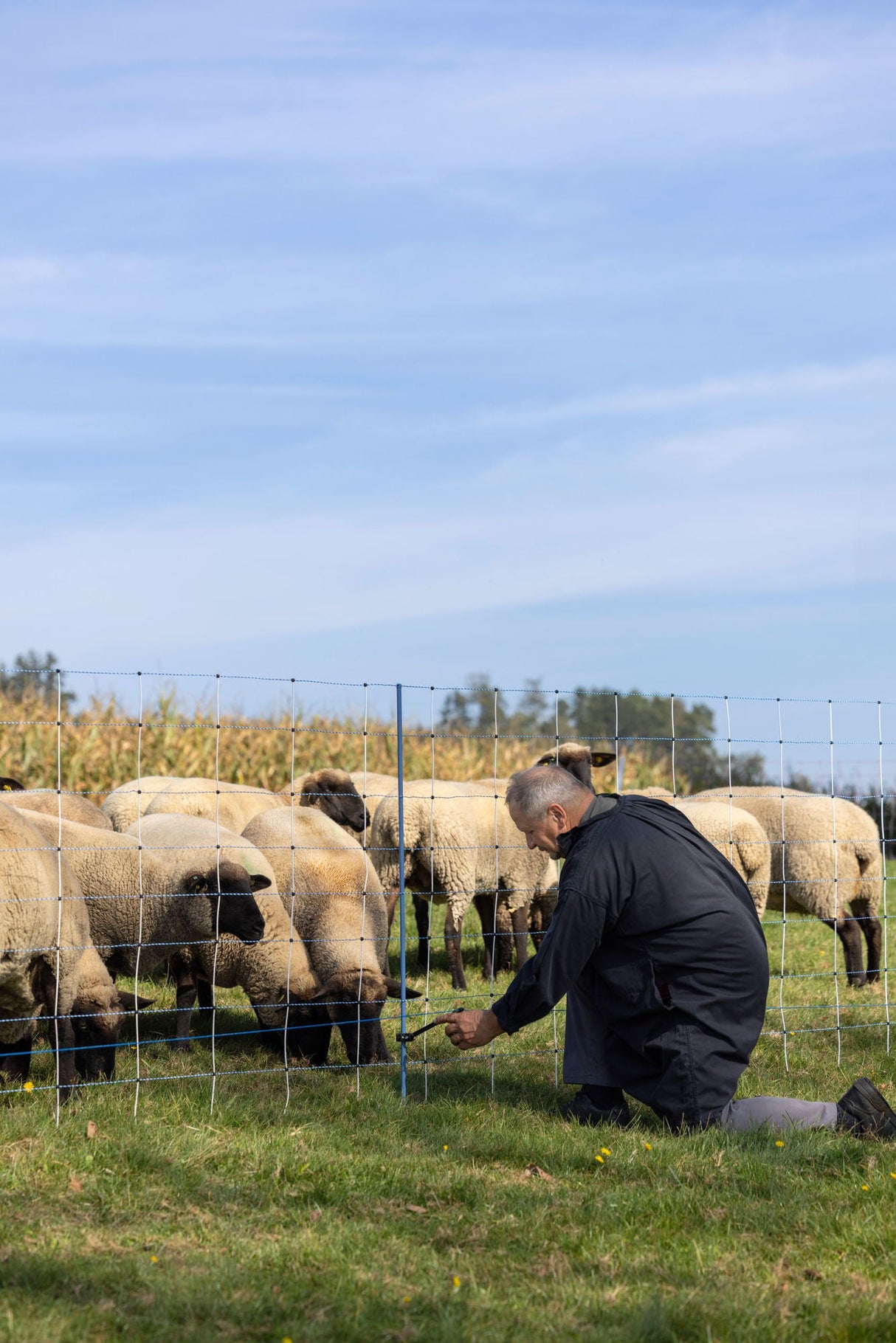 Kerbl WolfStop - Ergänzungsset für Weidenetze, 10er Set - 27256