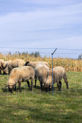 Kerbl WolfStop - Ergänzungsset für Weidenetze, 10er Set - 27256