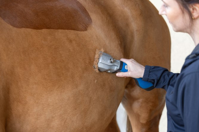 Aesculap Bonum Akkuschermaschine Großtierschermaschine für Pferde Set mit 2 Akkus, blau GT656-BL