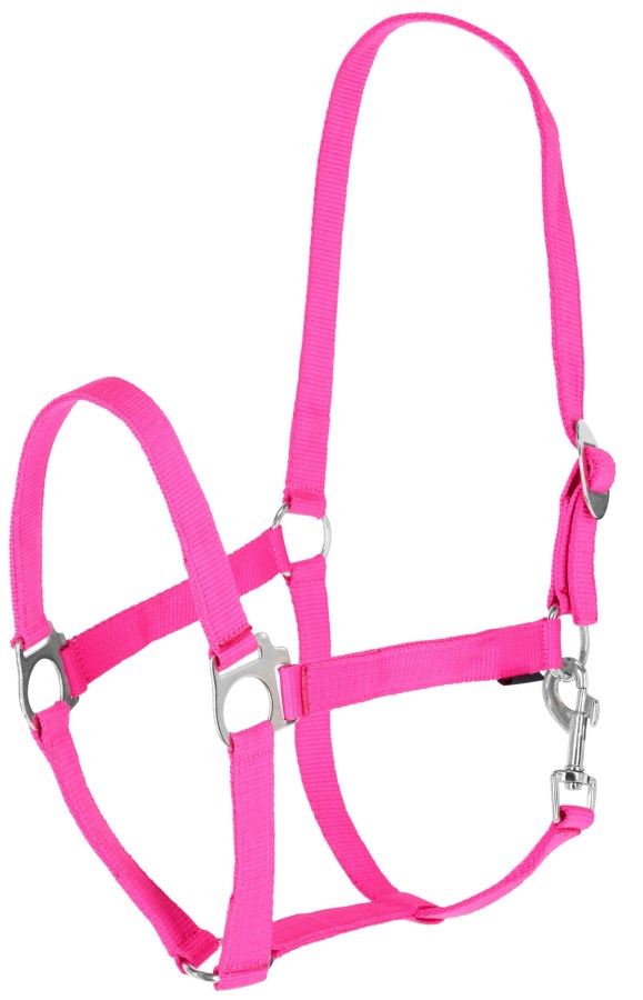 Covalliero Nylonhalfter Hippo, Cob, pink - 3230437