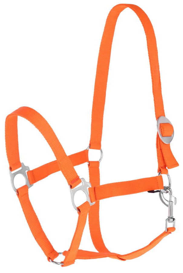 Covalliero Nylonhalfter Hippo, XFull, orange - 3230433