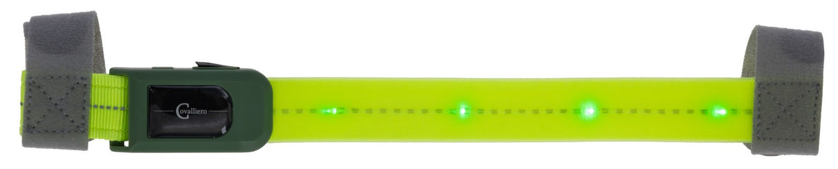 Covalliero Stirnriemen LED - 3230420