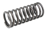 Valve spring inside