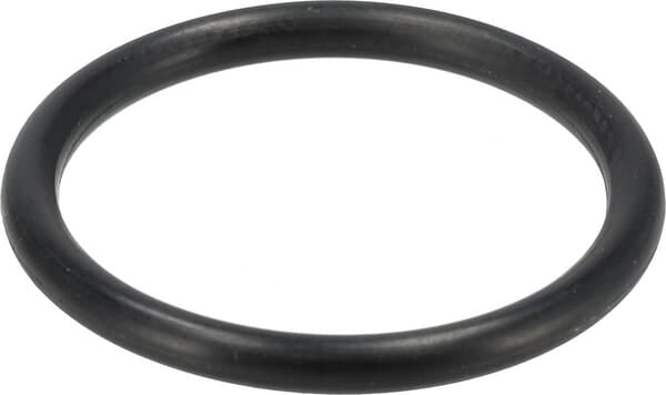 Kohler O-Ring Peilstab - 1 Stück - 2515302S