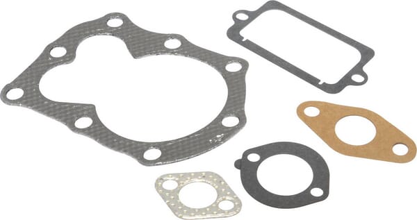 Briggs & Stratton Satz Ventildichtungen - 1 Set - 795972