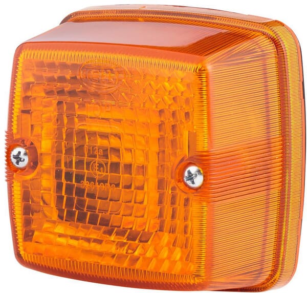 Flashing light