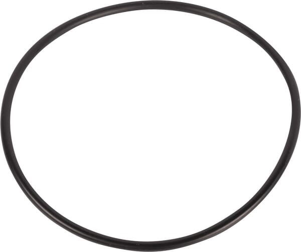 AGCO O-ring 3005538X1
