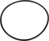 AGCO O-ring 3005538X1
