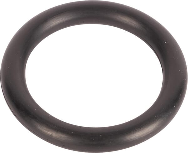 AGCO O-Ring 3010466X1
