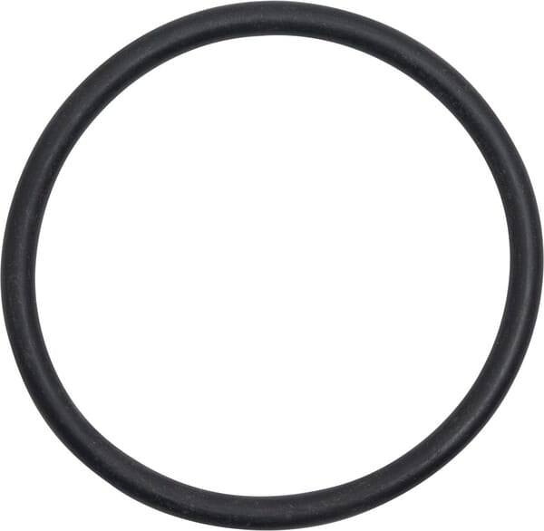 Landini O-Ring 3019921X1
