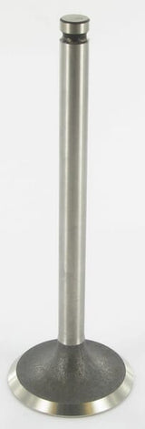 KRAMP Einlassventil Perkins 31431641N