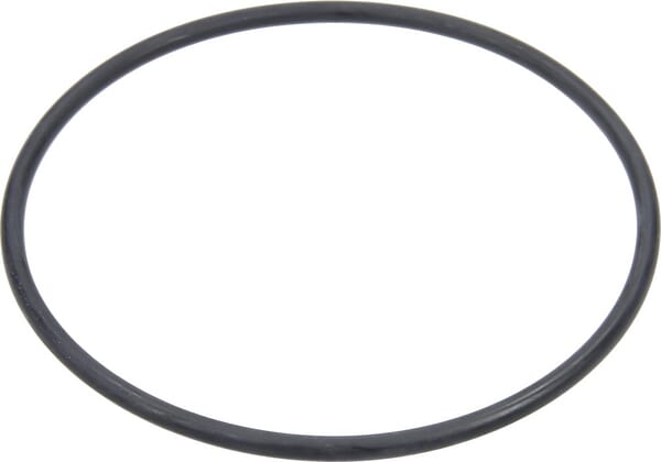 Arag O-Ring für Kugel 2" 318100040