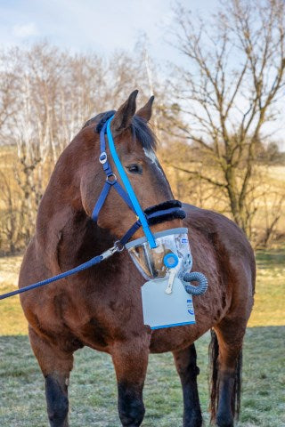 Hippomed Warmblutmaske für AirOne Set mit Zubehör - 3211807