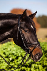 Kerbl Trensen-Zaum Standard Leder für Warmblut, schwarz 32172