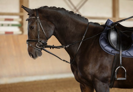 Kerbl Thiedemannzügel, schwarz Größe Pony 323595