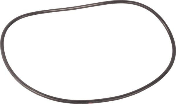 AGCO Ring 3384524M1