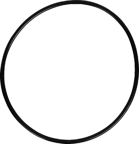 AGCO O-Ring 359200X1