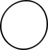 AGCO O-Ring 359200X1
