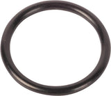 AGCO O-Ring 364776X1