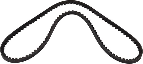 Landini Riemen 3669118M1