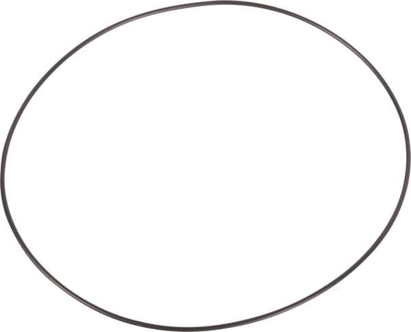 AGCO O-ring 3760819M1
