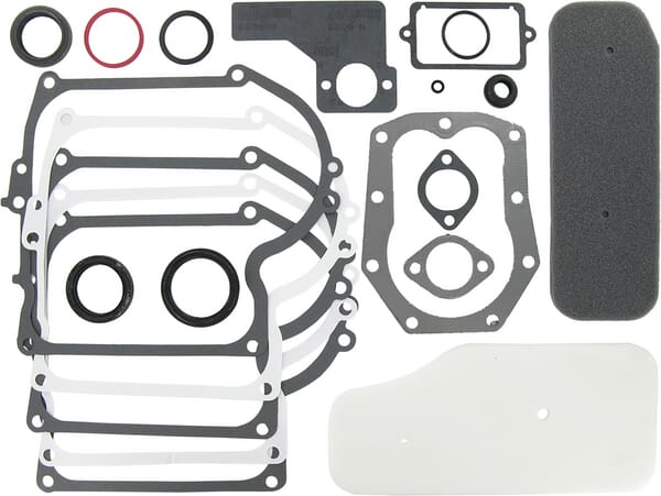 Briggs & Stratton Dichtungssatz 393411