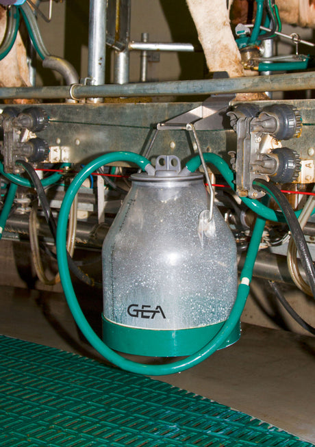 GEA Melkeimer mit Skala, 30 Liter, opalgrün, 139 mm - 7315-4974-700 (151052-GEA)