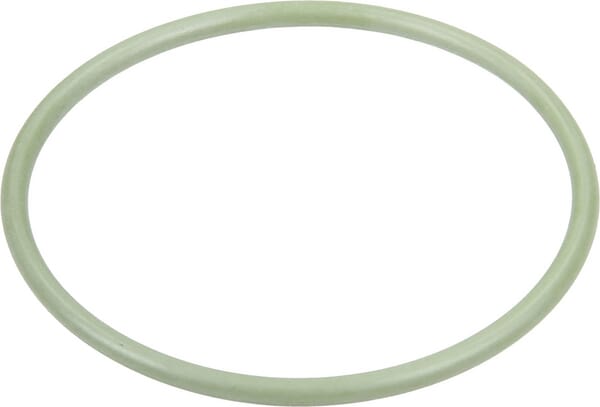 AR O-Ring Viton 47.30x262 395081