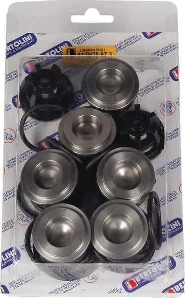Bertolini Rückschlagventile + O-Ringe Satz 141  - 1 Set - 019826973