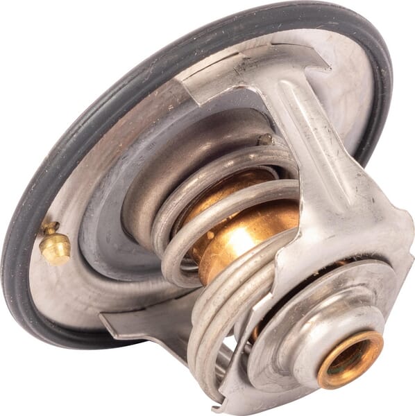 Landini Thermostat 4215604M2