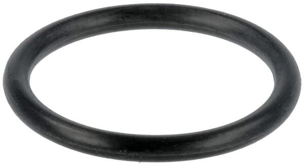 AGCO Düsenhalterungs-O-Ring 4225847M1