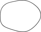 AGCO O-Ring Bremse 4301296M3