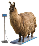 Kerbl Ständer für Display PS1000/PS2000/PS3000 291314