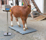 Kerbl Ständer für Display PS1000/PS2000/PS3000 291314