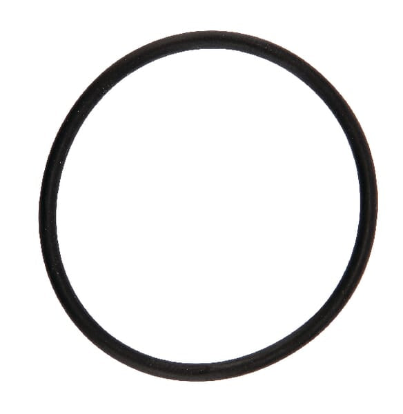 Arag O-Ring 42,52 x 2,62 EPDM 460000210