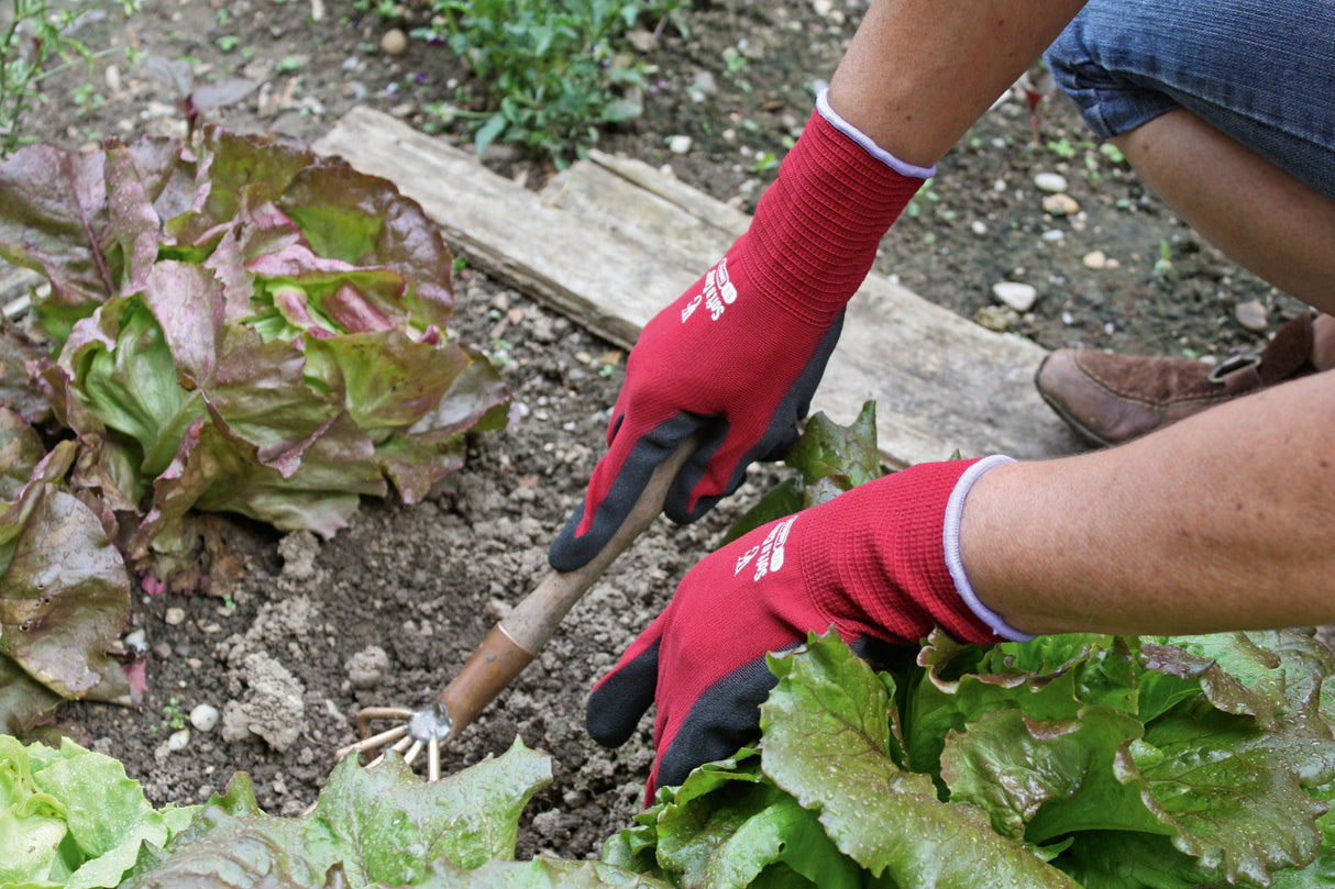 Kerbl Artikel 297286 im Online Shop kaufen