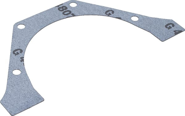 New Holland / Case DICHTUNG, FLACH - 5 STÜCK 4849994 original CNH Ersatzteil