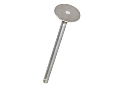 FPT Industrial Auslassventil - 1 Stück - 4895051FPT