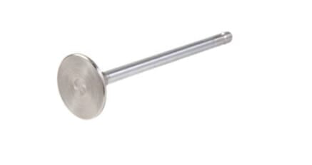 FPT Industrial Einlassventil - 1 Stück - 4895052FPT