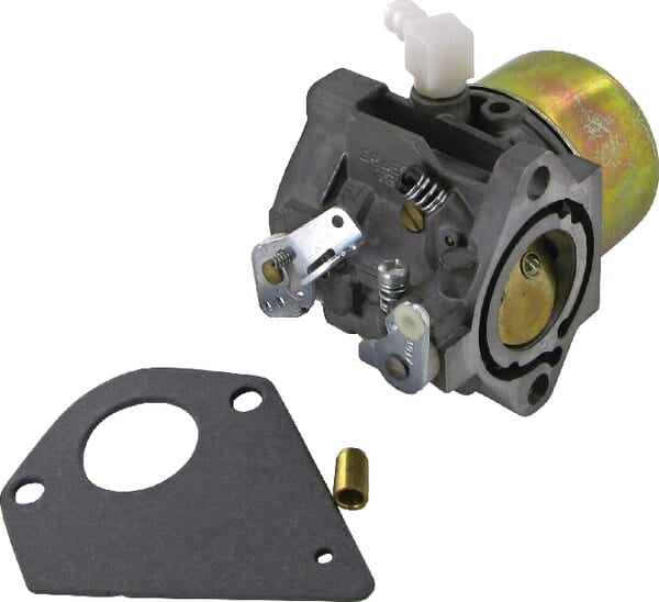 Briggs & Stratton Vergaser 495784